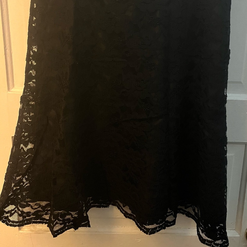 Sandra Darren beaded lace a-line skirt
